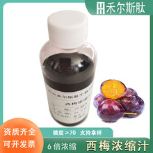 现货6倍浓缩西梅汁白利度65 食品饮品果酒用原料天然西梅浓缩汁