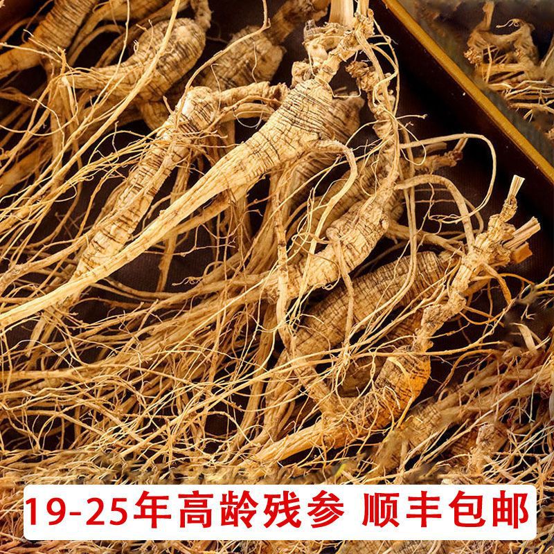 严/选长白山野生人参人生人参野山参林先参东北林下参干人参泡酒