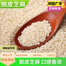 生脱皮芝麻仁白芝麻农家芝麻粒足斤干净新鲜去皮辣椒油烘培专用