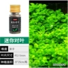 1 bottle of mini -to -leaves