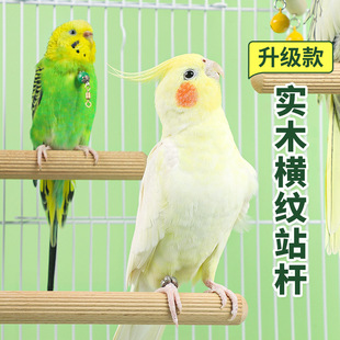 �W�^վ�U���Bվ�Uվ��վ�����Lĵ����Ƥĥ�������B�\�쾰�����Ʒ