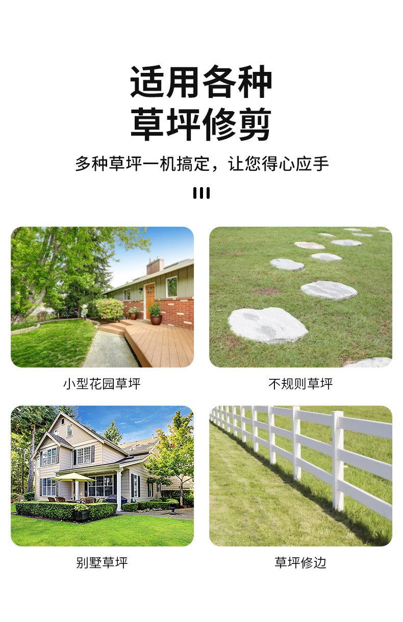 模板红背122-4.jpg