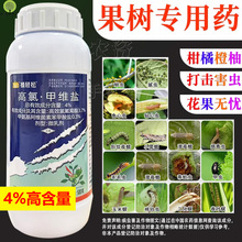 䚢xșҘ٘rșxȫȼ⛾S}Ʒ