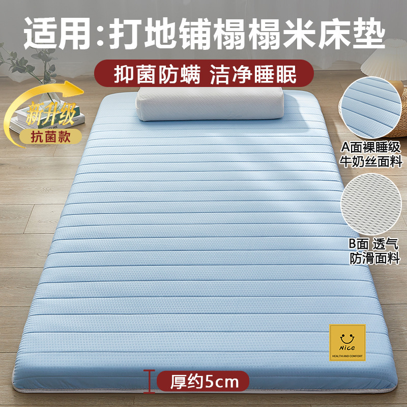 地铺睡垫家用床垫软垫防潮地垫打地铺神器租房专用垫学生宿舍单人|undefined