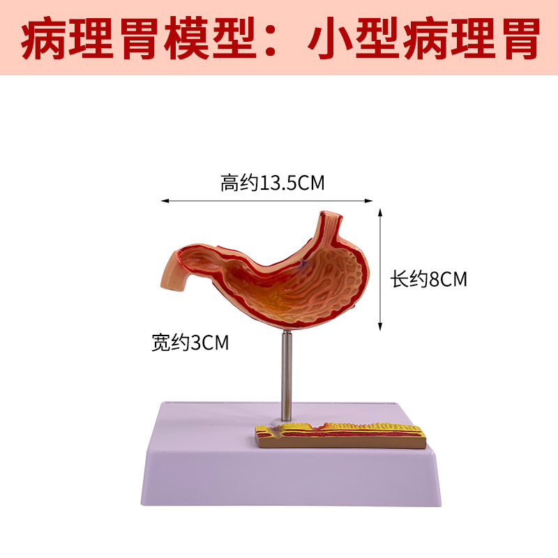 ����θģ�� ����θ�Ĵ��� ��̬θģ�� ������ θ��״������ʷŴ�