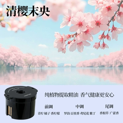 Carefully Selected Car Fragrance: Car Perfume Aromatherapy - replacement-fragrant-bombs-qingying-weiyang