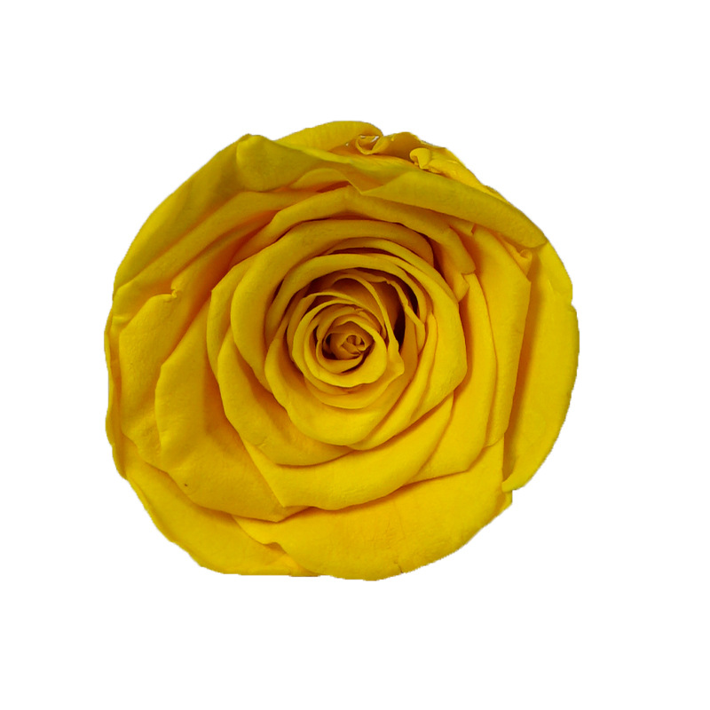 4-5cm 8 Flores, grado B DIY flores eternas, rosas eternas, Yunnan Kunming al por mayor, flores preservadas