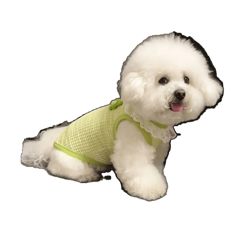 Nueva primavera y verano de hadas perros y gatos ropa de mascotas Teddy Bear hermoso chaleco cómodo para la piel puede tracción