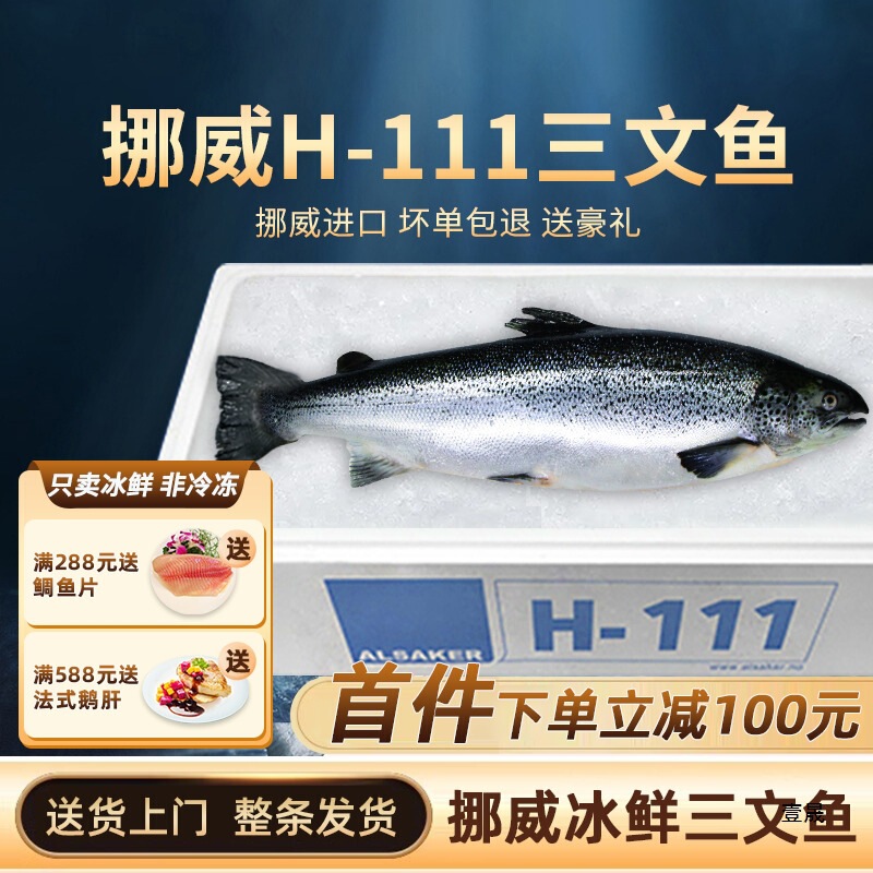 Whole Chilled Norwegian Salmon, 6kg Sashimi Pieces, Atlantic Salmon, Ready-To-Eat Seafood Wholesale