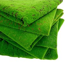 苔藓 假青苔背景植物墙装饰绿植微景观植绒草皮绿色 青苔