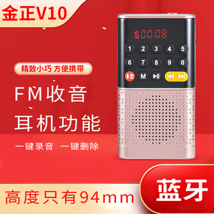 Jinzheng Y10 radio MP3 Mini small audio card speaker portable music player for the elderly