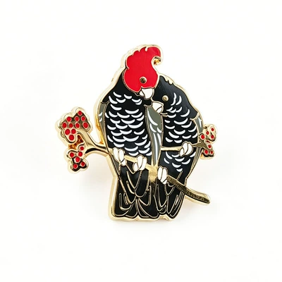 Australian Red-Crowned Black Cockatoo: Yaxa sancaqları