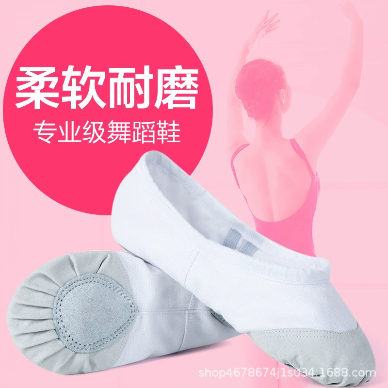 Оптовая продажа танцевальная обувь женская мягкая подошва детская балетная обувь профессиональная обувь для взрослых для практики в помещении йога кошачья обувь для танцев