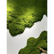 ����̦�\����̦��������Ƥ�bGֲ΢���^�쾰ֲ���҃��쾰��ƺ