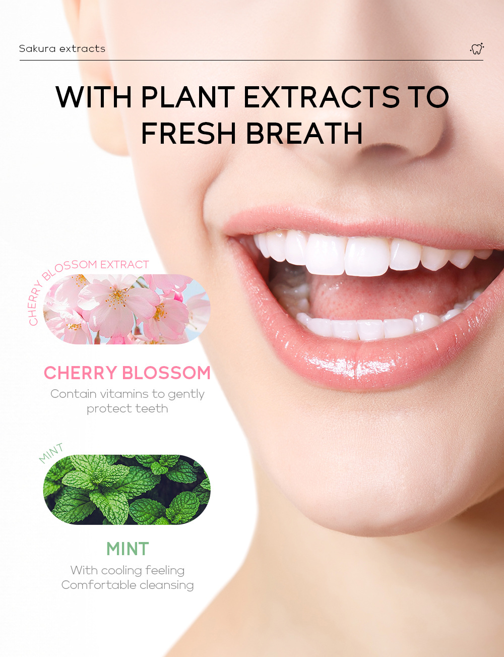 Cross-border Laikou Sakura Toothpaste 85g freshens breath, removes stains and cleans teeth. Factory wholesale in stock undefined