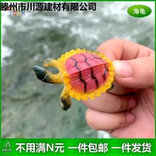 仿真小海龟乌龟套装迷你幼儿园儿童洗澡戏水玩具静态海洋动物模型