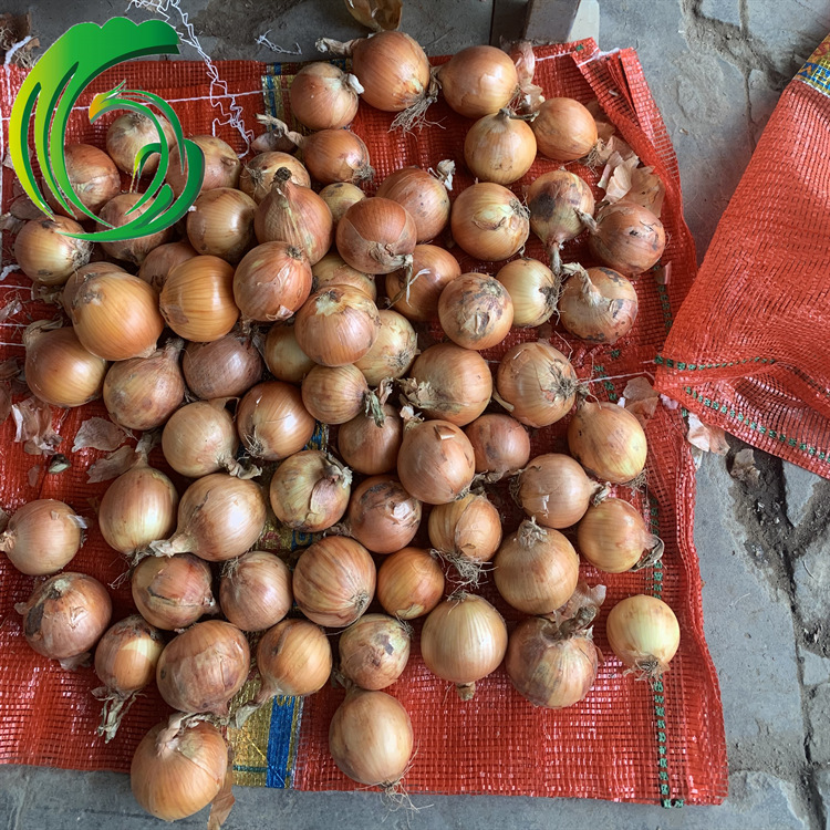 A0C014AB1AF76EF6260303A360367E