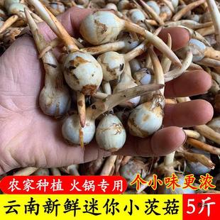 ��ϬF�����r����С�Ĺ����R��״ȹ��r���ԷN��Ŵ������β���߲�