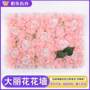 ���ƾW�t������������Ż����zӰ�ٻ��b�����c���w����������