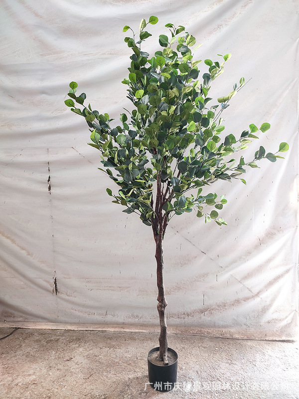 Simulated Eucalyptus Tree Potted Eucalyptus Leaf Bauhinia Leaf Tree Export Potted Artificial Green Plant Decoration Imitation Money Tree