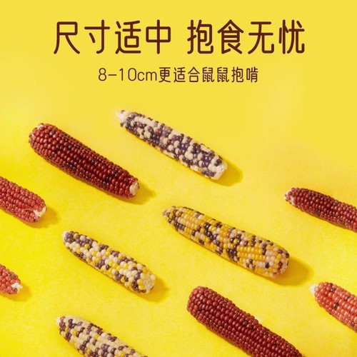 Hamster food molars, small corn grains, golden bears, chinchillas, guinea pig snacks, flowery branches, rat molar sticks, toys and supplies