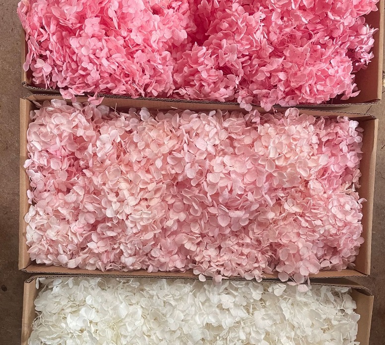 微信截图_20231203172821