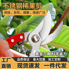 修枝剪子葡萄采果剪蔬果剪果树修果工具园艺剪花枝摘水果剪刀修花