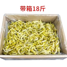 �ؑc����ե��18���ԭζե��������ե�˽z18������������l����