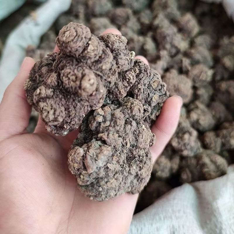 Chuan Xiong Sichuan Lovage Rhizome Dried Whole Herb 2000g Culinary Herbal Supply key features