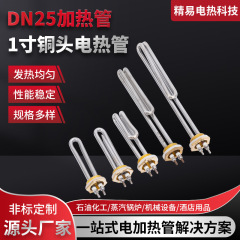 DN25 加熱パイプ 1inch 銅頭ネジ 32 ミリメートル電熱パイプ水タンク加熱パイプウォーターディスペンサー加熱ロッド 220V