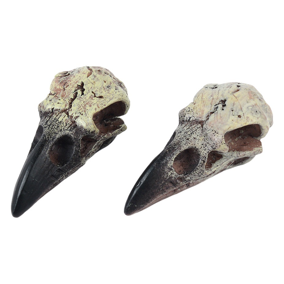 Cross-border Trade Crow Skull Necklace Resin Replica Gothic Gift Bird Skull Jewelry Pendant Accessories