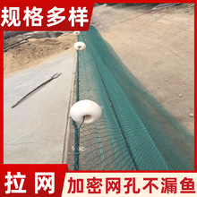 �~�����W ���ʹ����W���a�S�� �����r�۴��~�����������W