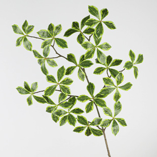 ���W����Gֲ�d���~�٘�֦�Ҿӿ͏d�b��ձ����Rܛ�b�쾰�廨֦