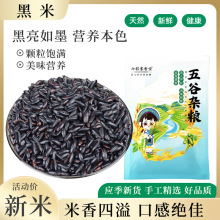 健康黑米新米农家黑香米五谷杂粮大米血糯米糙米醪糟酒酿粗粮