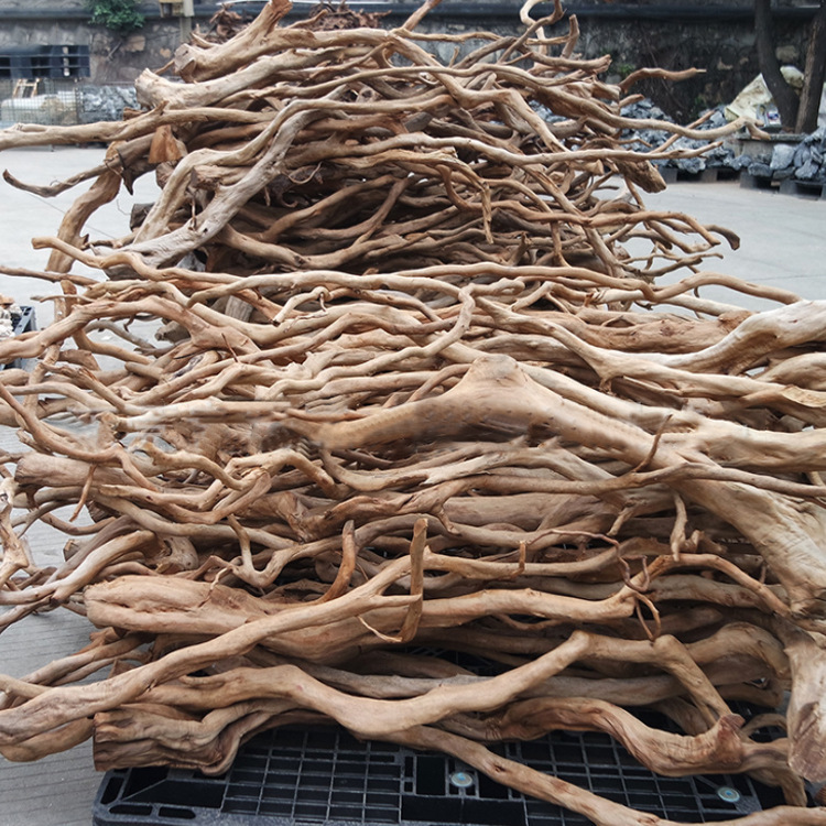 In stock natural azalea root branch aquarium rainforest cylinder pet cylinder landscape submerged wood In stock natural azalea root branch aquarium rainforest cylinder pet cylinder landscape submerged wood