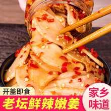 湖南特产剁椒生姜片农家酸辣泡姜嫩姜芽生姜腌制仔姜下饭菜泡菜酱