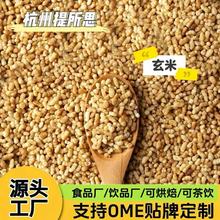 玄米/炒米/玄米茶/茶饮/食品原料/厂家直销/支持贴牌