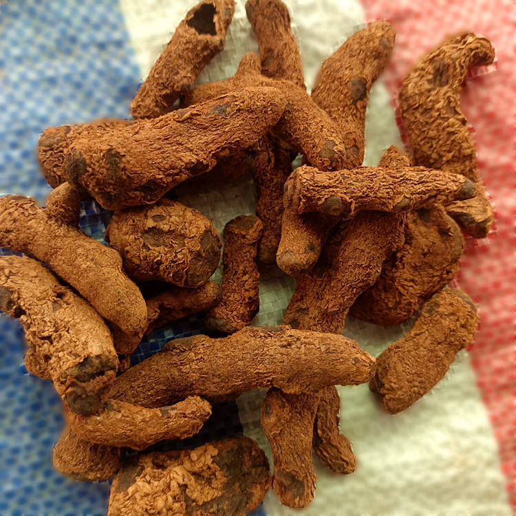 Xue San Qi Dried Root (Miao Herbal Blood Sanqi) — Yunnan Sun-Dried 500g Food Herb overview