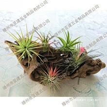 �P���ܿ՚������������k����֧�ܾG�P��ֲ�ռܼ��ӻ�����ֲ��