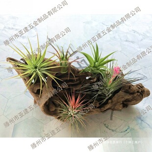 �P�洹��P������Gֲ��֧�ܿ՚⹫�ҵ�����ܼ��ӻ����k����ֲ��