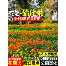 ���A�ջ��N��ͥԺ�e���������^���ѹ��@�����S��Ӣ�N�Ѷ���������