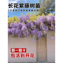 ���ٻ����玧��������ֲ���Ϙ����������׳ɻ��ļ��_��ͥԺ����