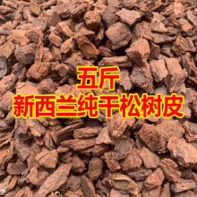 Ó֬�l�͸����M�������m�ɘ�Ƥ�m��ֲ���m����ʯ���¼��I�B�����]