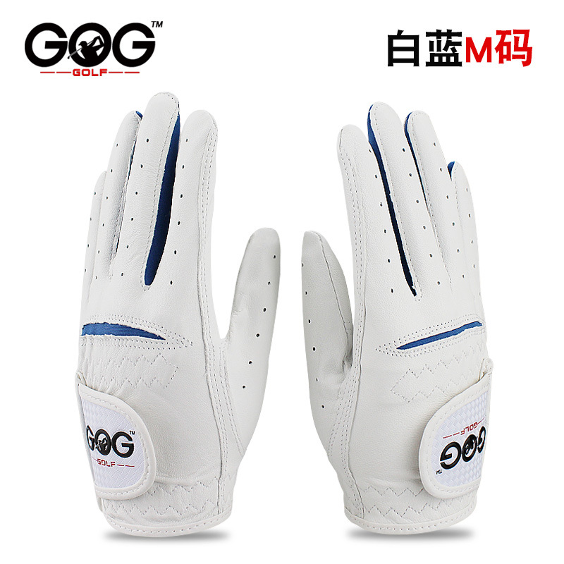 흰색과 파란색 한 쌍의 M 코드