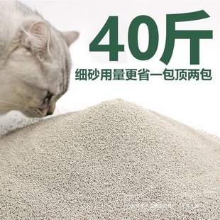 ؈ɰ�Vɰɰ����������������ʡ����ɰ�����͉m�Sһ�����lĬ�J����