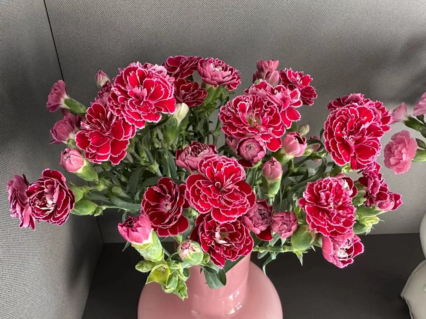 微信图片_20230214202240_副本