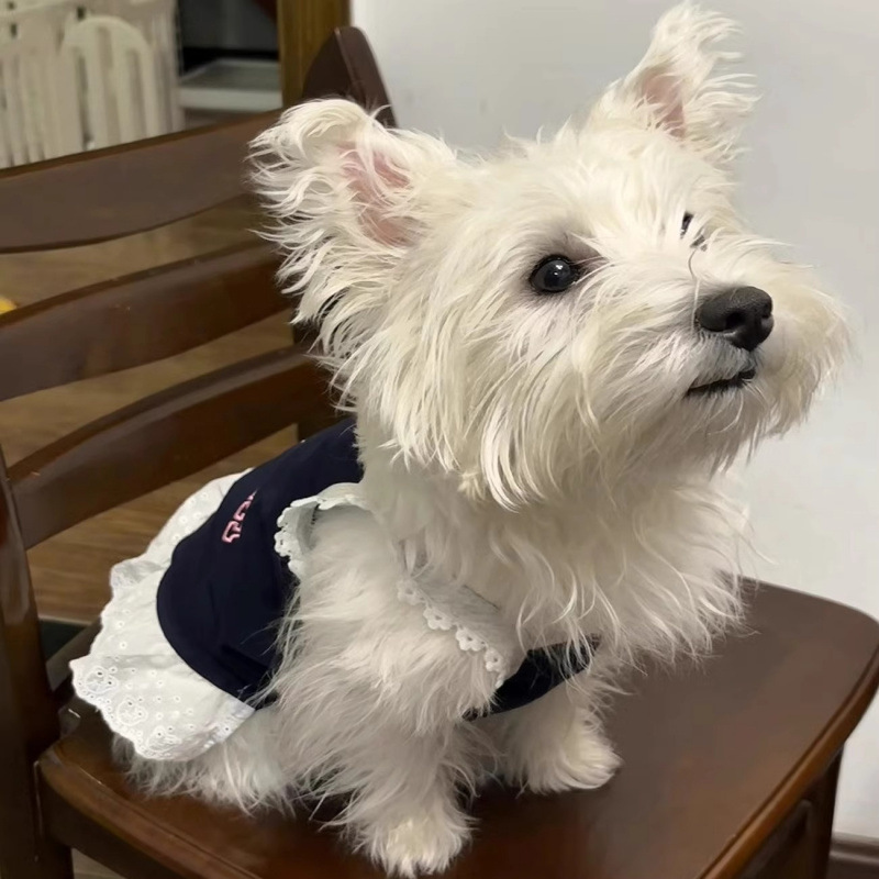 Ropa para mascotas Primavera y verano Chicas calientes transpirables de encaje camisola perro Teddy Bichon Perro pequeño Bomei