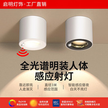 明装人体感应灯家用走廊过道灯入户玄关灯楼道筒灯红外线吸顶射灯