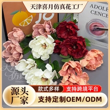 �羳 3�^���m���滨��֦�������m����ɫ���x��c�Ĕz���߽����S