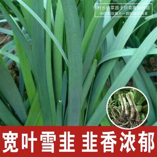 ѩ�²˸����~�²˸���F���^��ּt���²˸��ļ������̨�۹�²�